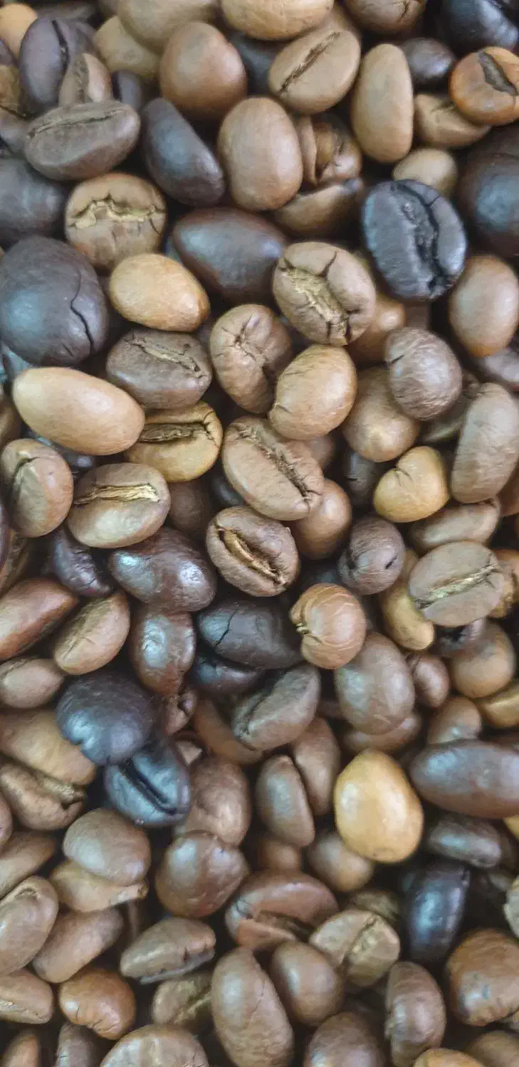 دان قهوه|عمدهفروشی|کرمان, |دیوار