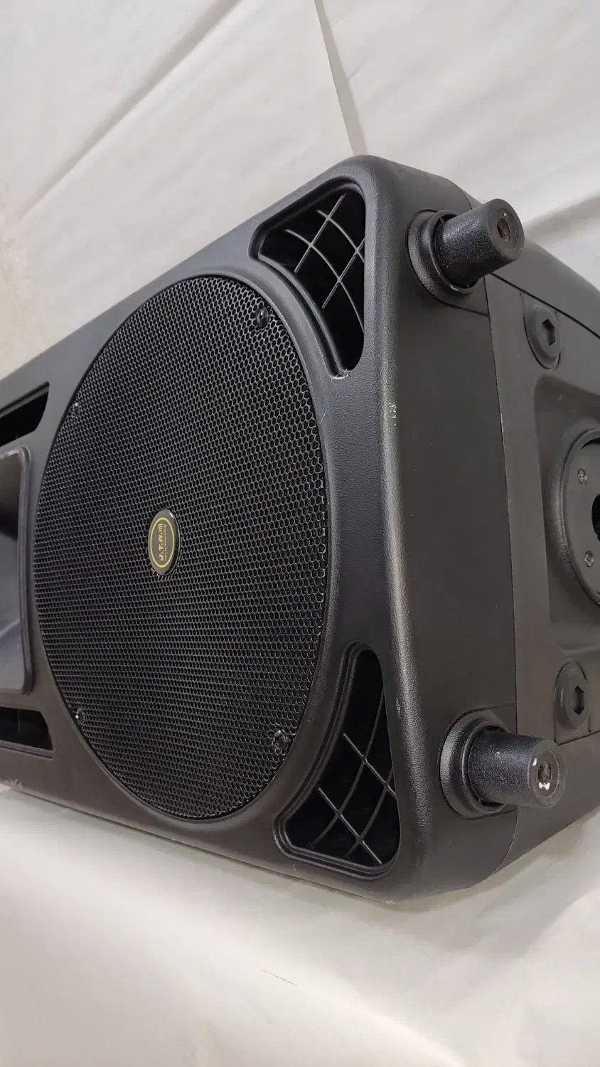 باند پسیو 15 اینچ JTR-PDX-750P|سیستم صوتی خانگی|قزوین, |دیوار