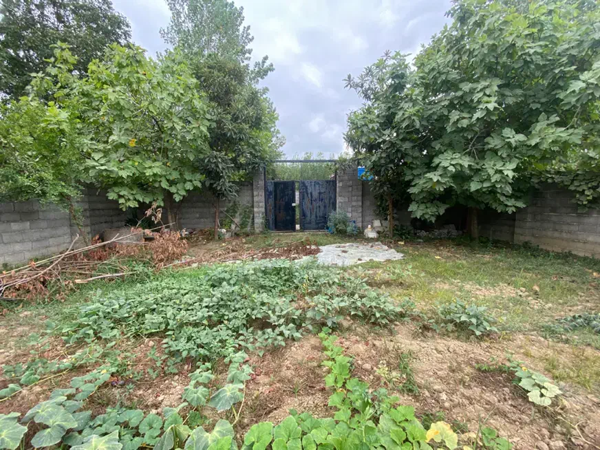 فروش زمین ۲۸۷ نوخاله|فروش زمین و ملک کلنگی|رشت, حومه رشت|دیوار