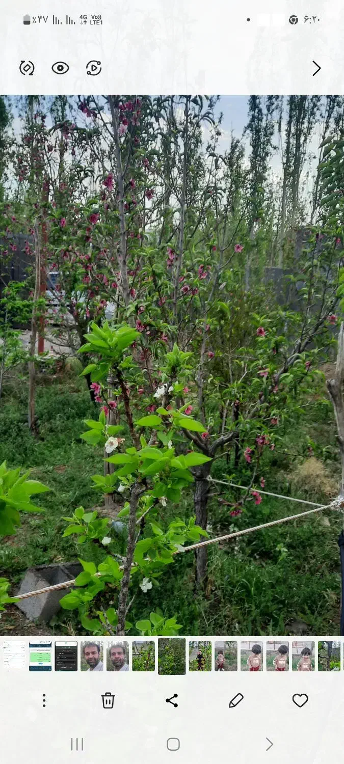 فروش خانه باغ در روستای سرپشت دهبکری|فروش خانه و ویلا|بم, |دیوار