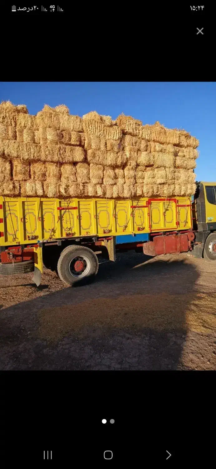 پرس گندم|خدمات باغبانی و درختکاری|گل تپه, |دیوار