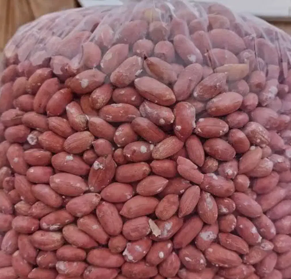 بادام زمینی برشته درجه یک|خوردنی و آشامیدنی|پارسآباد, |دیوار