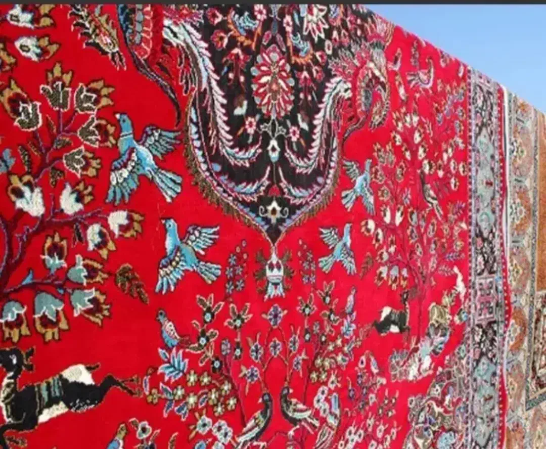 قالیشویی نیاوران|خدمات نظافت|یاسوج, |دیوار