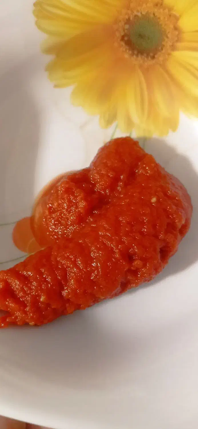 رب گوجه|خوردنی و آشامیدنی|شیراز, منطقه هوایی شهید دوران|دیوار