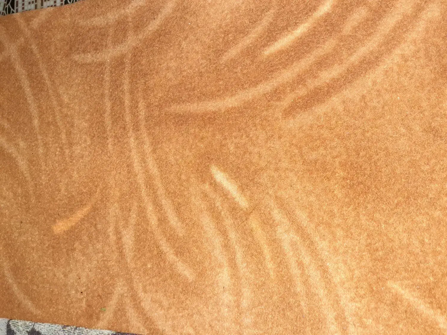 موکت|موکت|اندیمشک, |دیوار