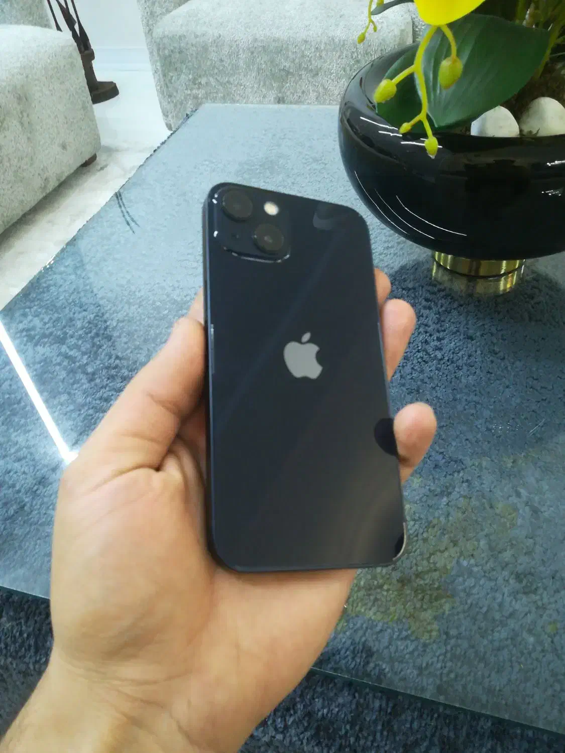 آیفون 13|موبایل|بردسیر, |دیوار