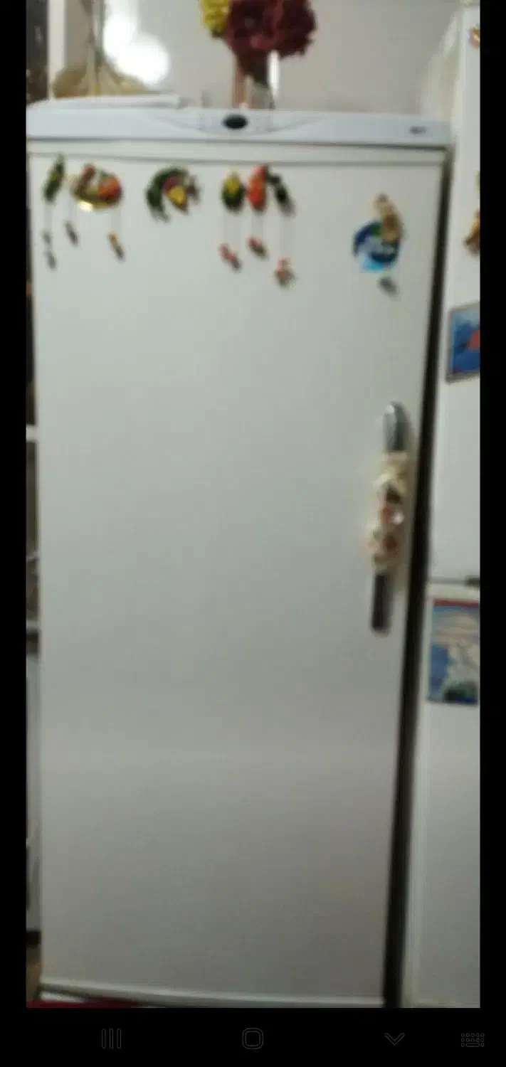 یخچال|یخچال و فریزر|زابل, |دیوار