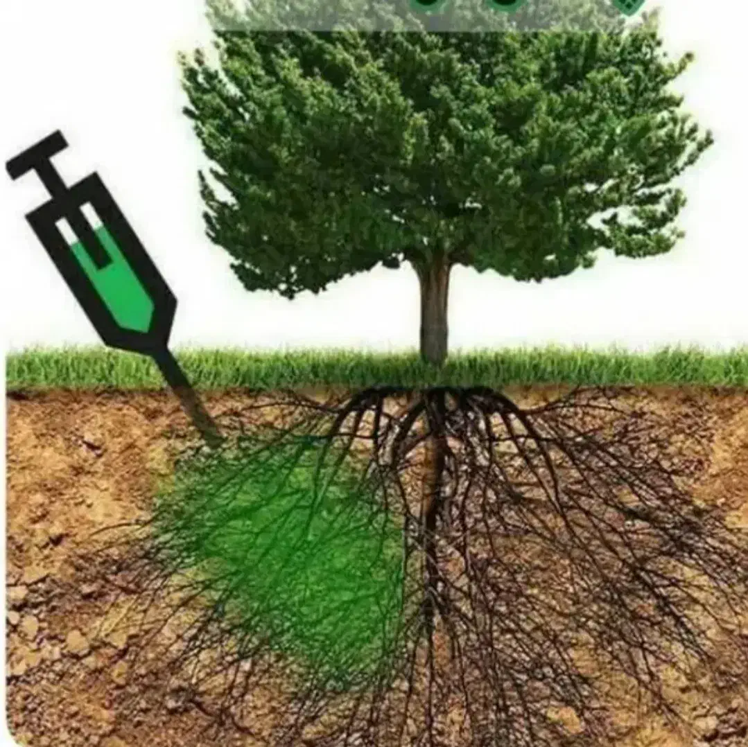 گیاه پزشکی|خدمات باغبانی و درختکاری|تبریز, |دیوار