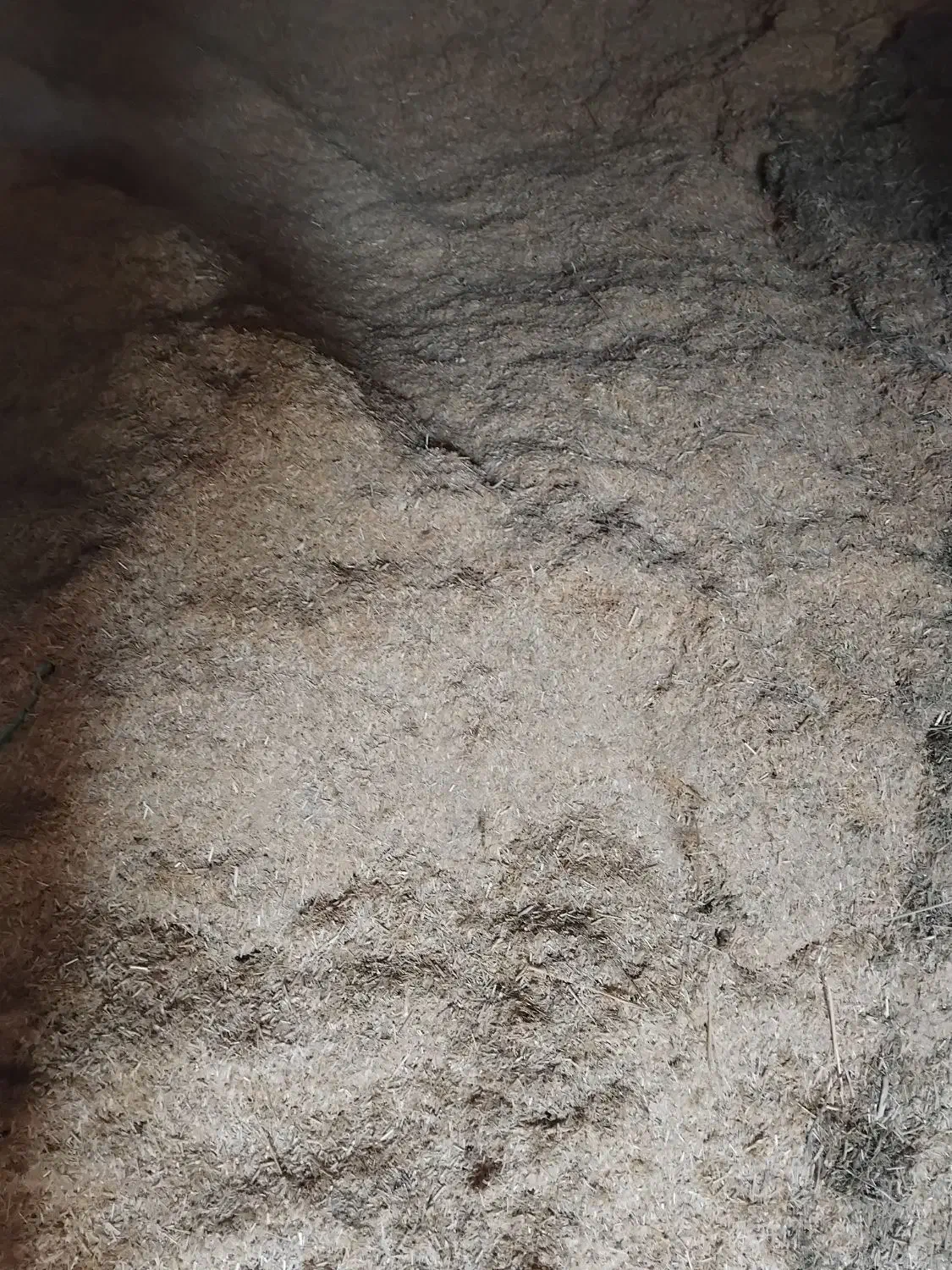 کاه دیمه|حیوانات مزرعه|رضویه, |دیوار