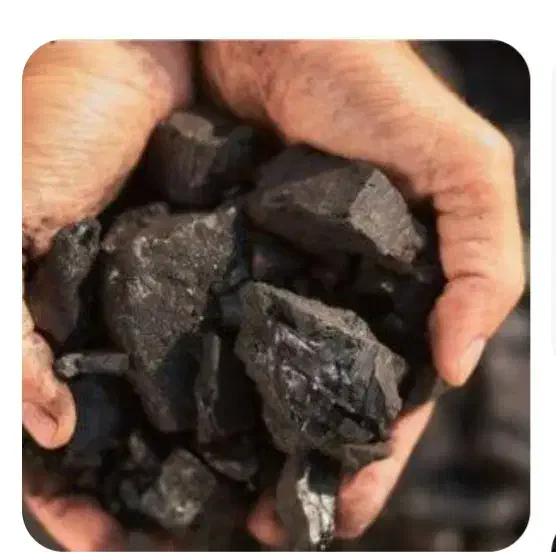 بلوط  زغال|عمده‌فروشی|ایذه, |دیوار