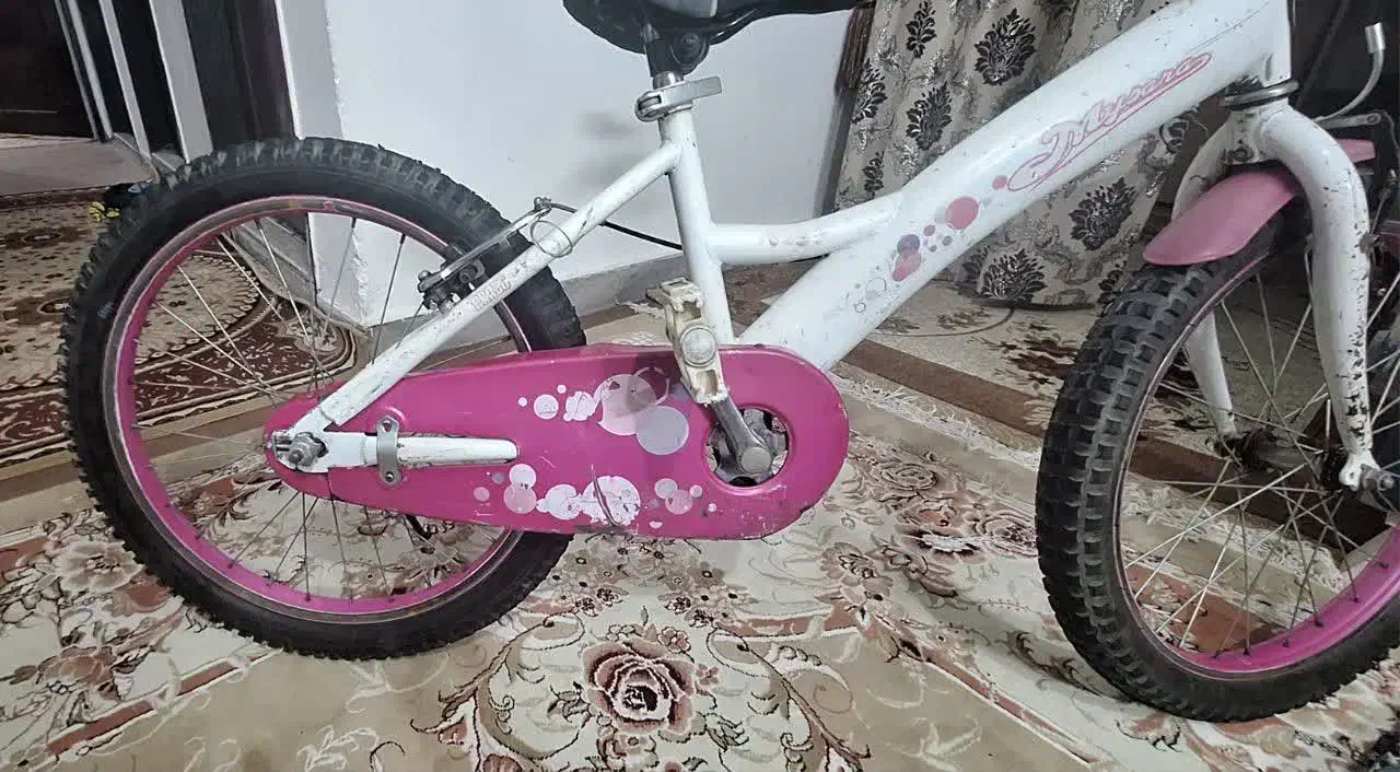 دوچرخه بچه گانه|دوچرخه، اسکیت، اسکوتر|مشهد, شهرآرا|دیوار