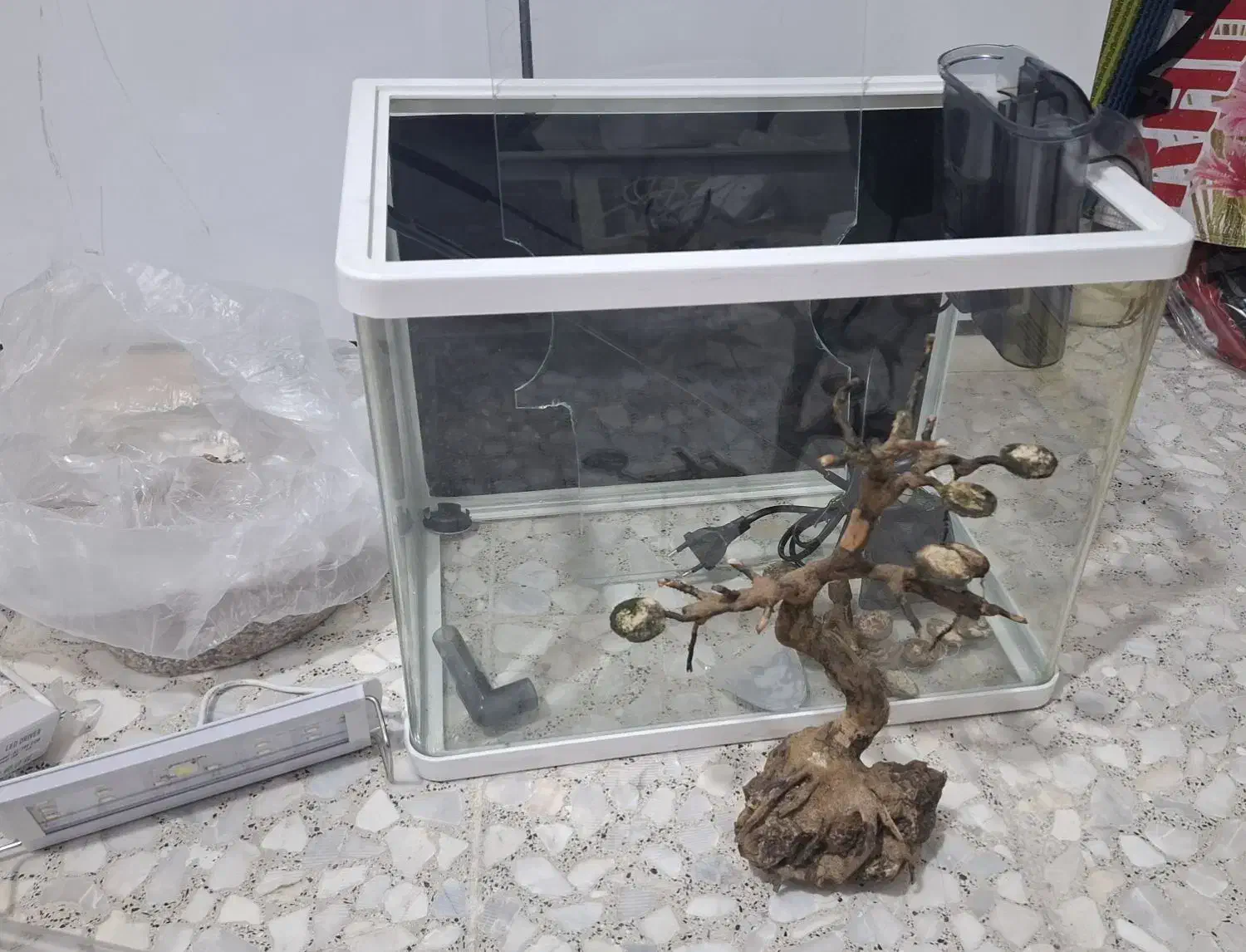 لوازم|ماهی|قم, نوبهار|دیوار