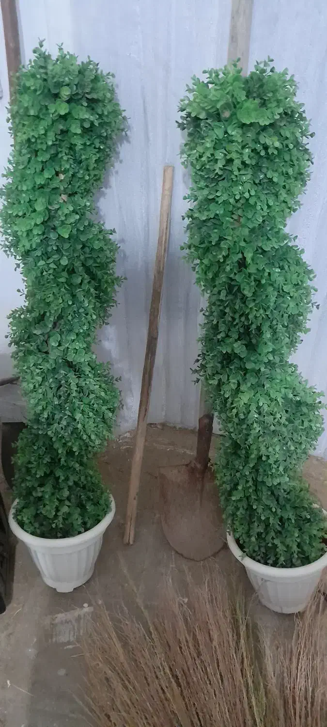 دو عدد گل مصنوعی|گل مصنوعی|کرمان, |دیوار