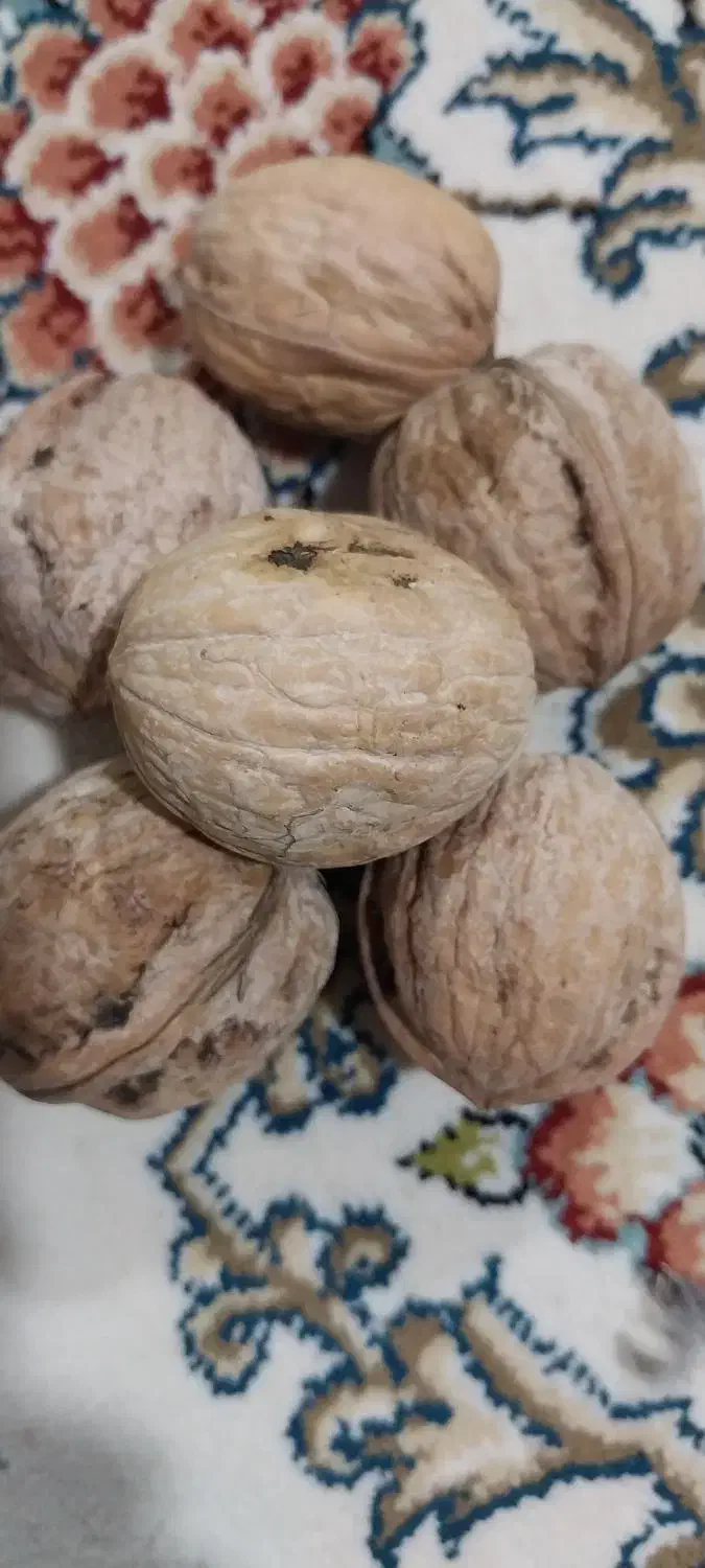 گردوپرمغز|خوردنی و آشامیدنی|بیرانوند, |دیوار