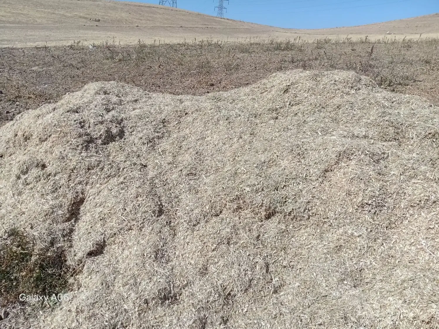 کاه لوبیا|عمدهفروشی|زاغه, |دیوار