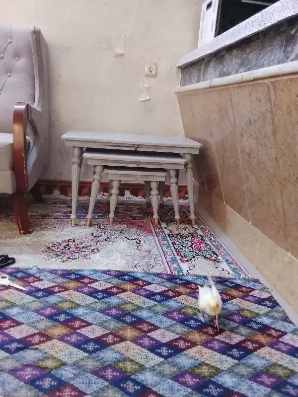 جلومبلی|میز تلویزیون|مشهد, شهرک بهارستان|دیوار