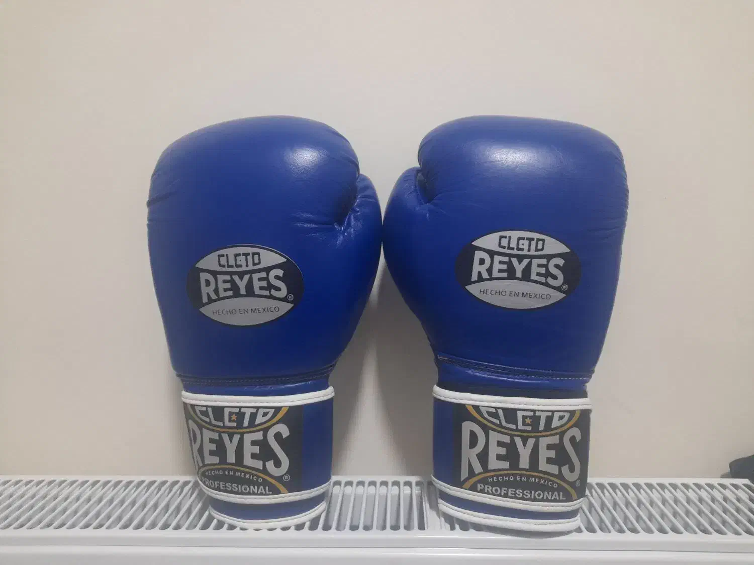 دستکش بوکس 12 اونس|تجهیزات ورزشی|ایلام, |دیوار