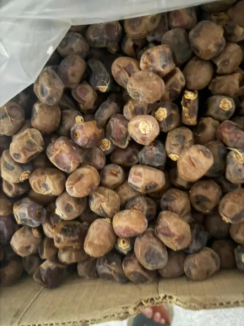 با سلام فروش خرمای برحی|عمده‌فروشی|شادگان, |دیوار