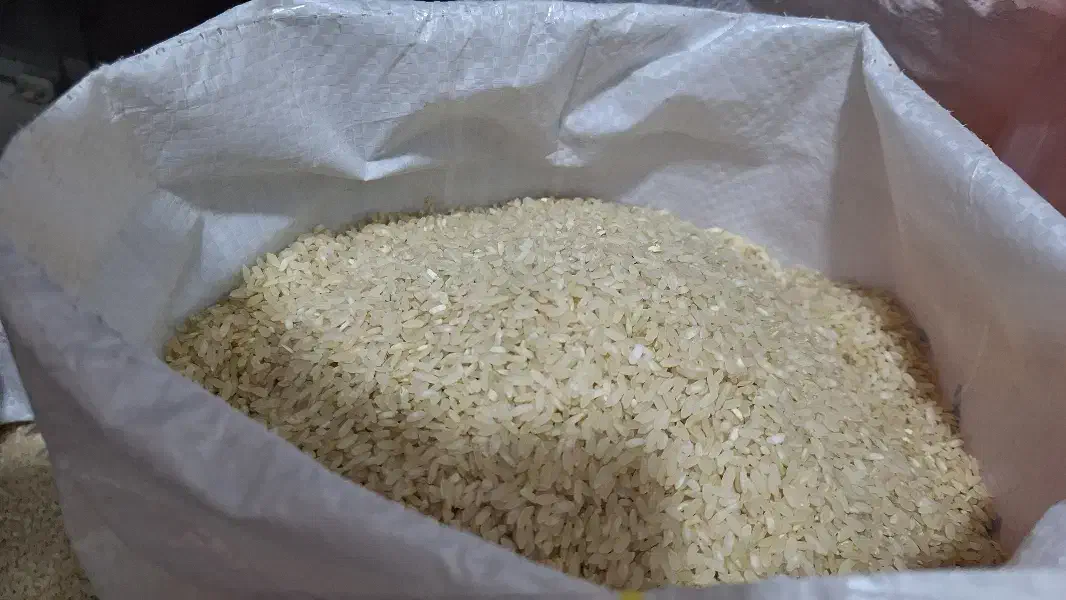 برنج و نیم دانه کامفیروزی درجه یک|خوردنی و آشامیدنی|شیراز, قلعه شاهزاده بیگم|دیوار