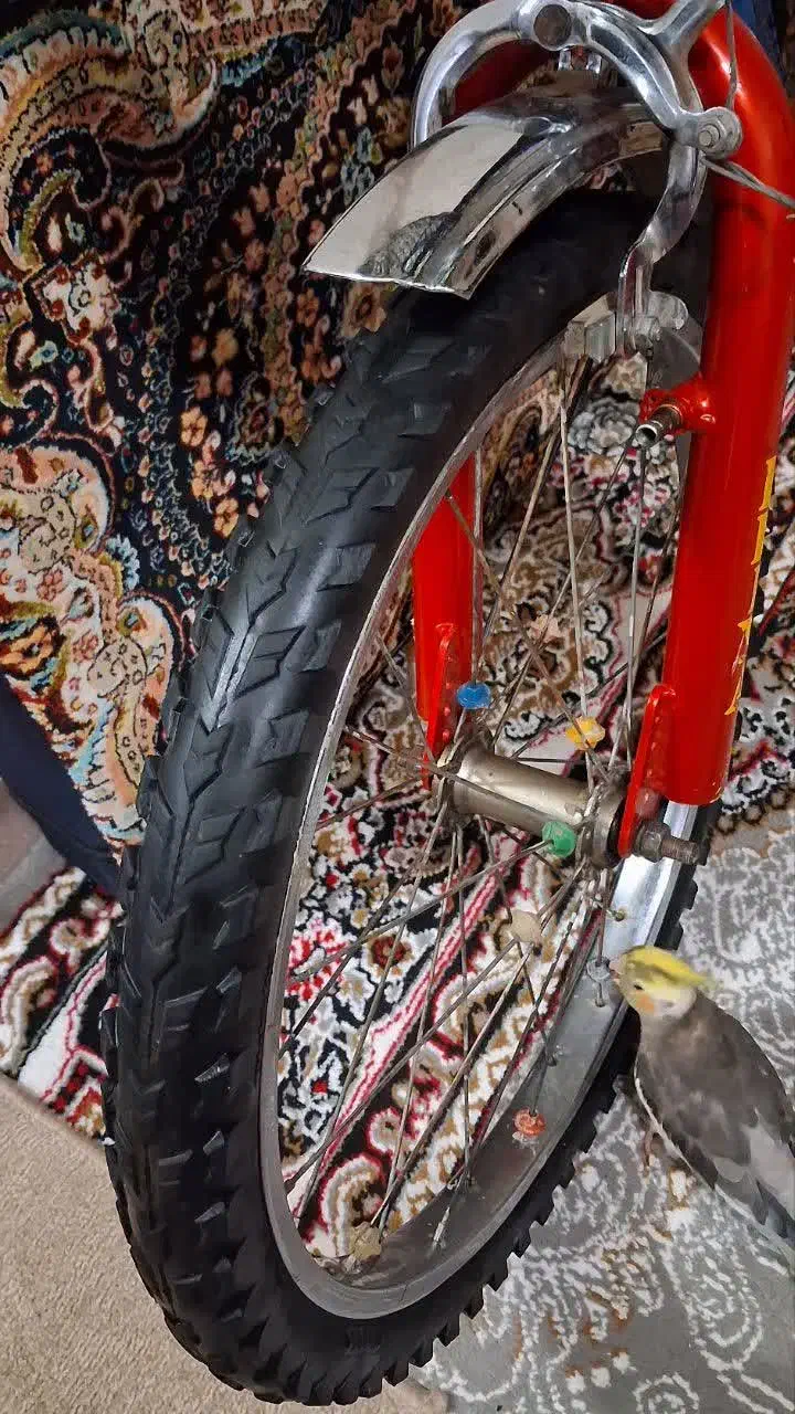 ۲عدد دوچرخه ۲۰ و۱عدد ۱۲|دوچرخه، اسکیت، اسکوتر|رباطکریم, شهرک والفجر|دیوار