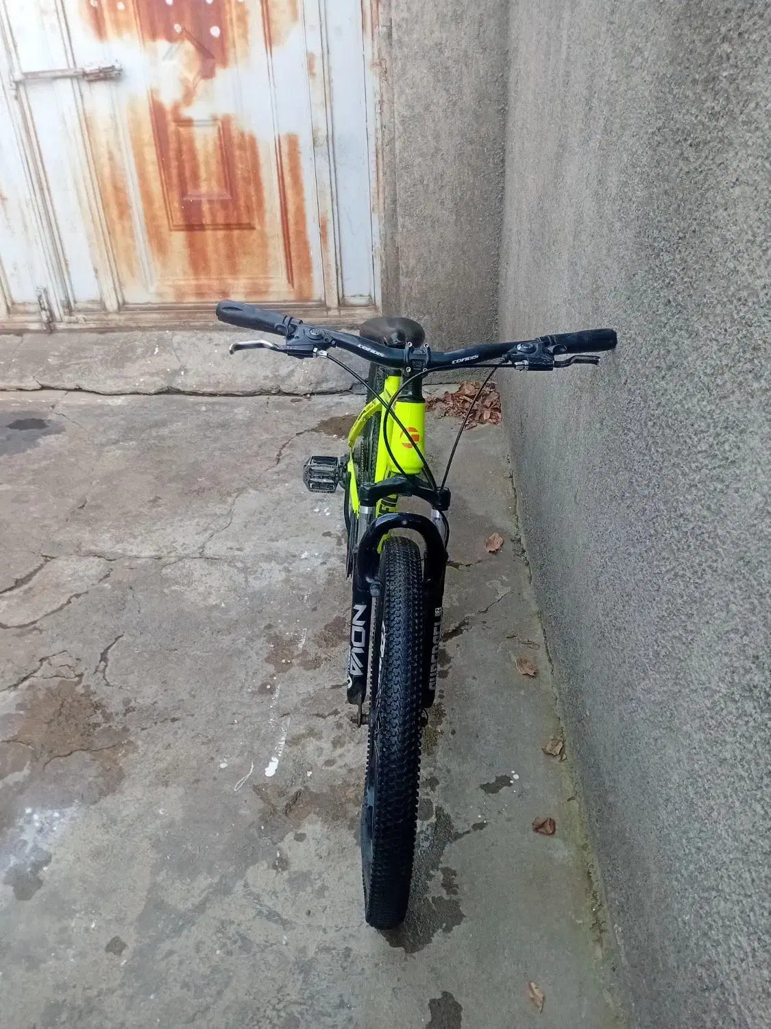 دوچرخه ۲۶ کوفیدیس|دوچرخه، اسکیت، اسکوتر|بانه, |دیوار