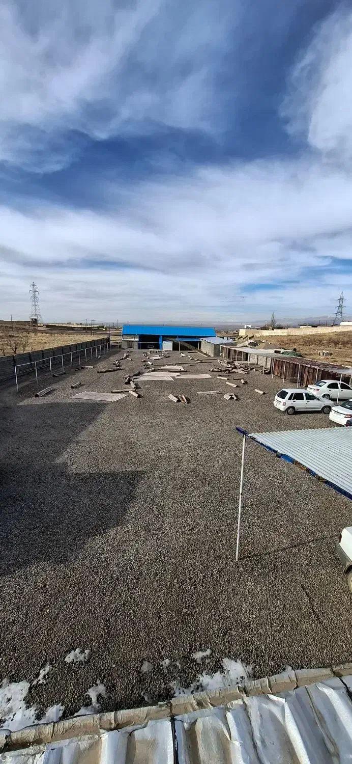 شرکت قالیشویی نیاوران|خدمات نظافت|زنجان, |دیوار