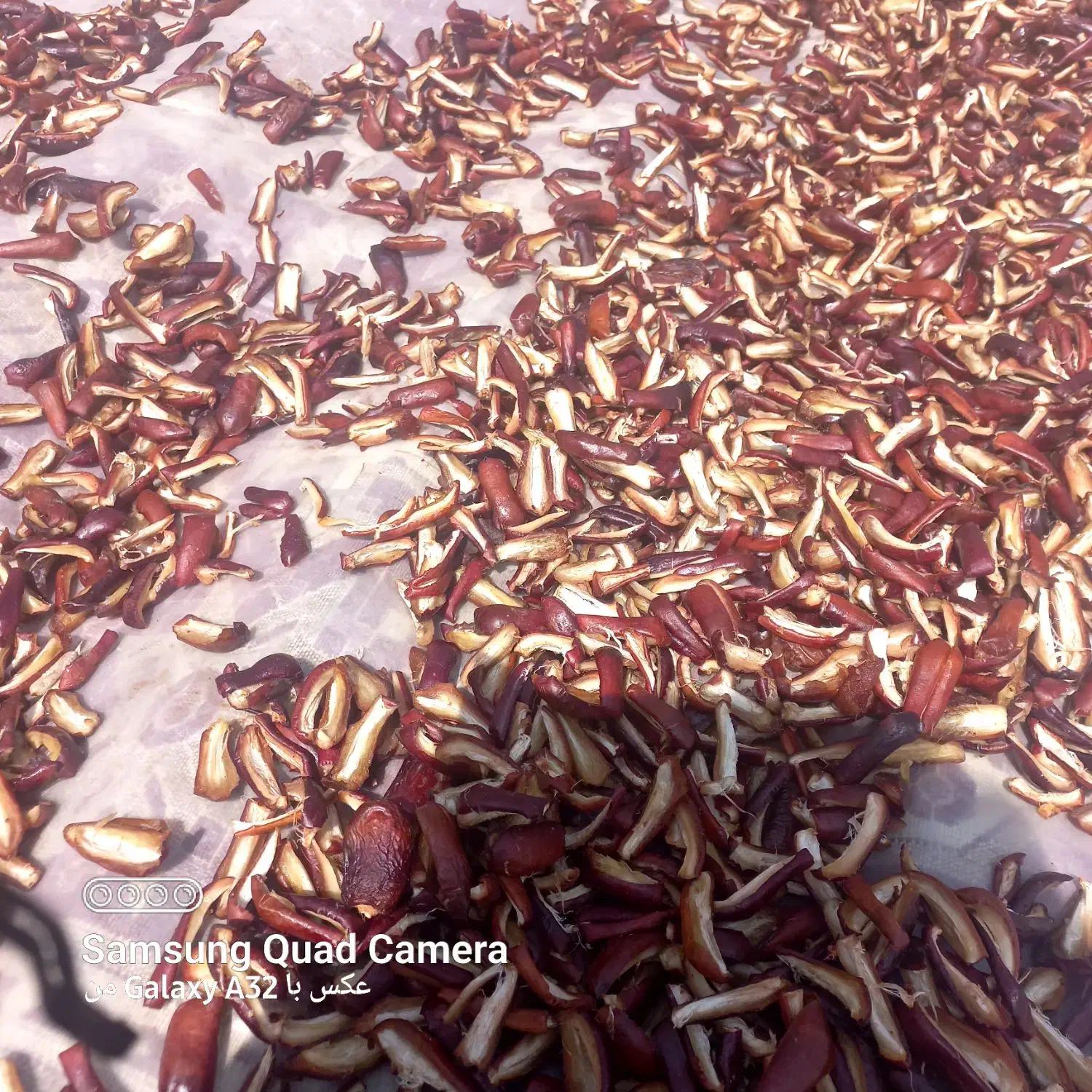 شیر تازه|خوردنی و آشامیدنی|عنبرآباد, |دیوار