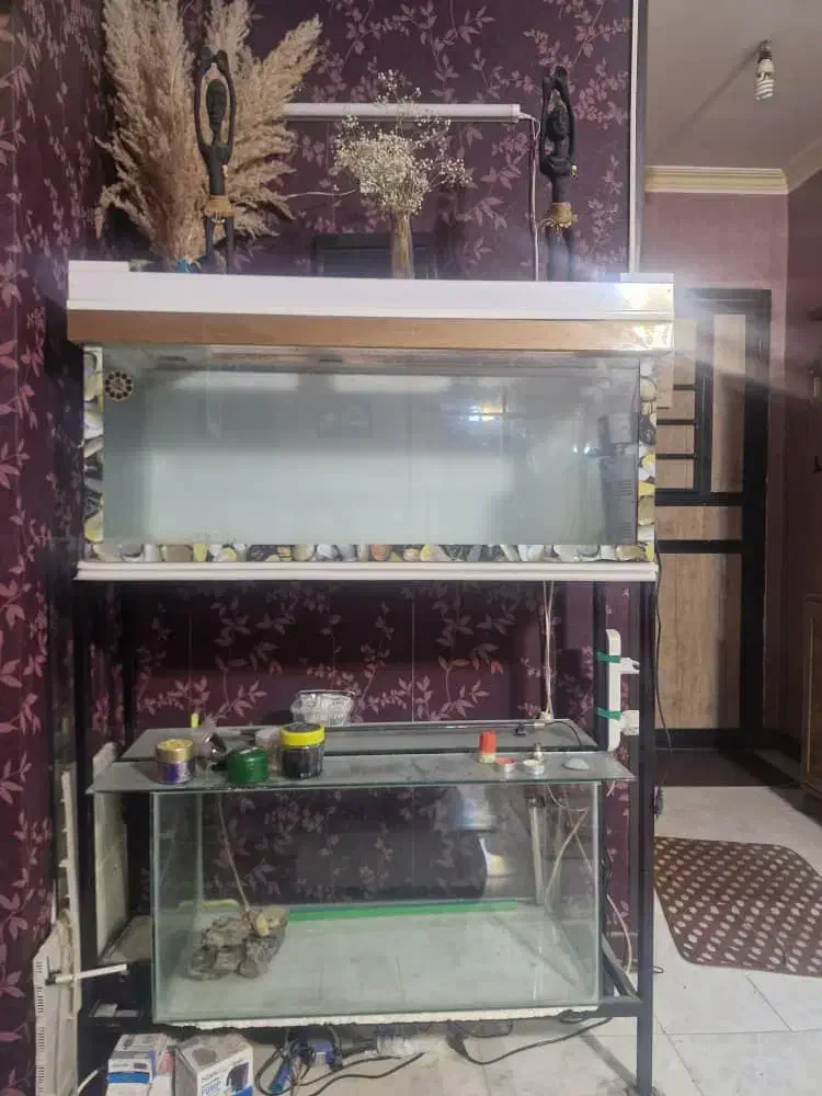 آکواریوم بزرگ|ماهی|صدرا-فارس, فاز ۱|دیوار