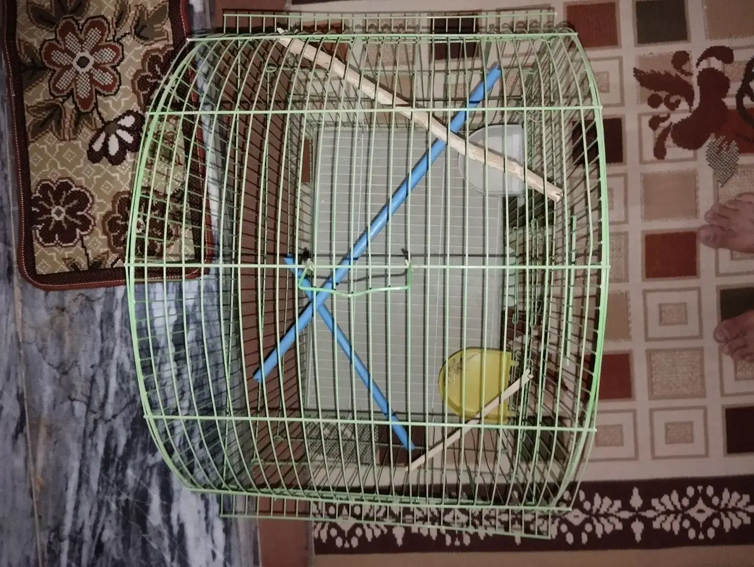 قفس پرنده|لوازم جانبی حیوانات|بروجرد, |دیوار