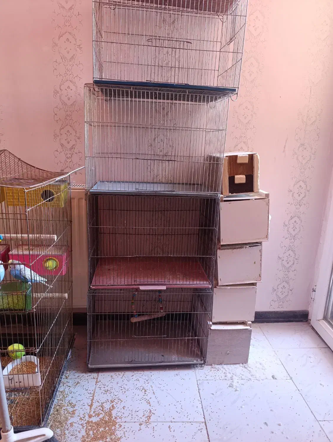 قفس پرنده کوچیک و متوسط|لوازم جانبی حیوانات|سهند, |دیوار