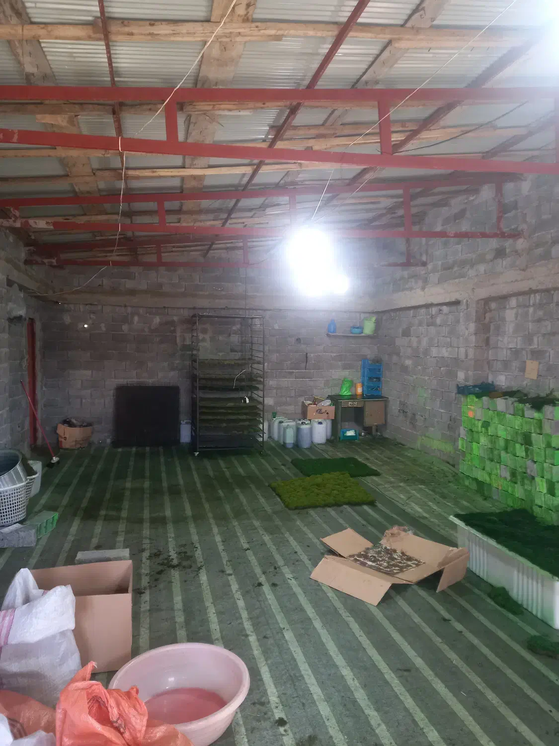 اجاره کارگاه سوله انبار لاهیجان|اجارهٔ دفتر صنعتی، کشاورزی، تجاری|لاهیجان, بوجایه|دیوار