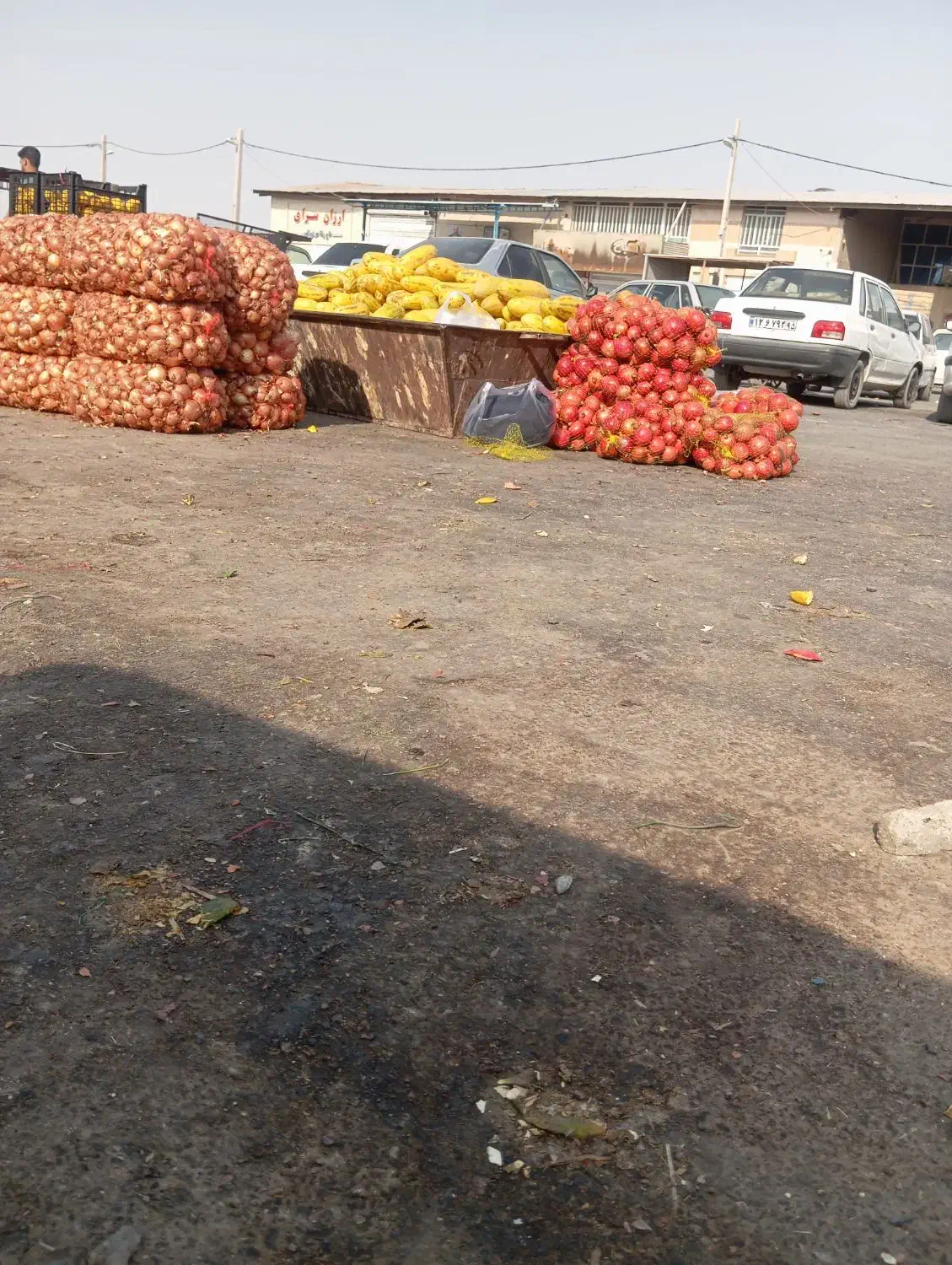 اجتماعی|فعالیت داوطلبانه تحقیقاتی|زابل, |دیوار