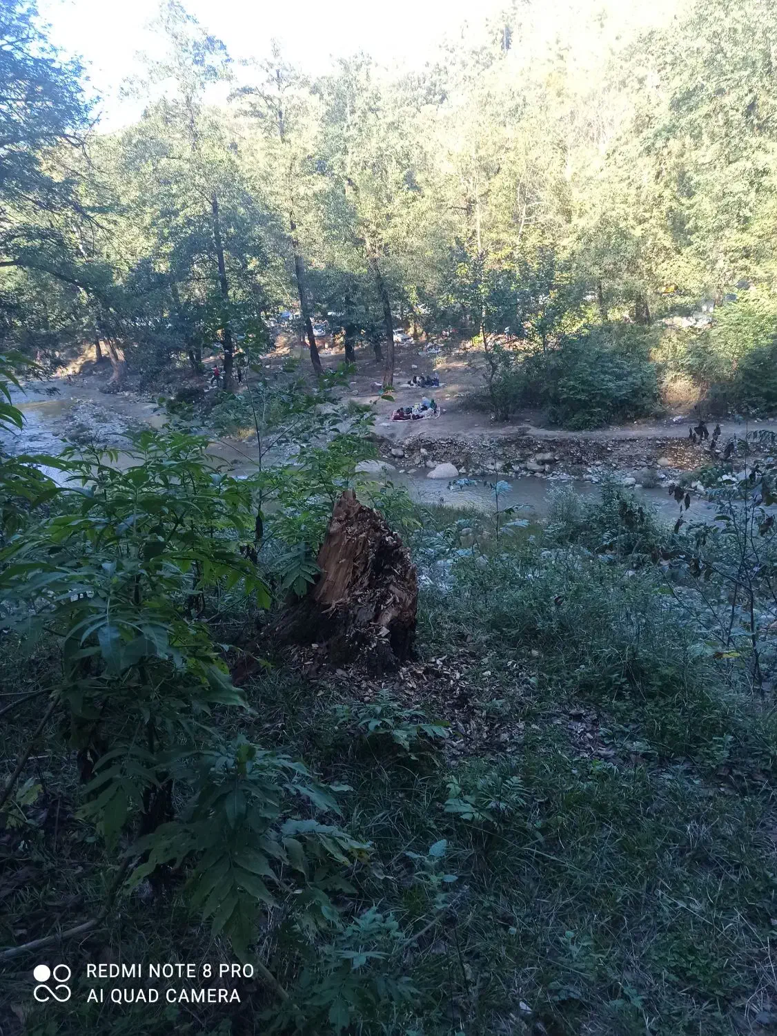 زمین نزدیک به بافت|فروش زمین و ملک کلنگی|القجر, |دیوار