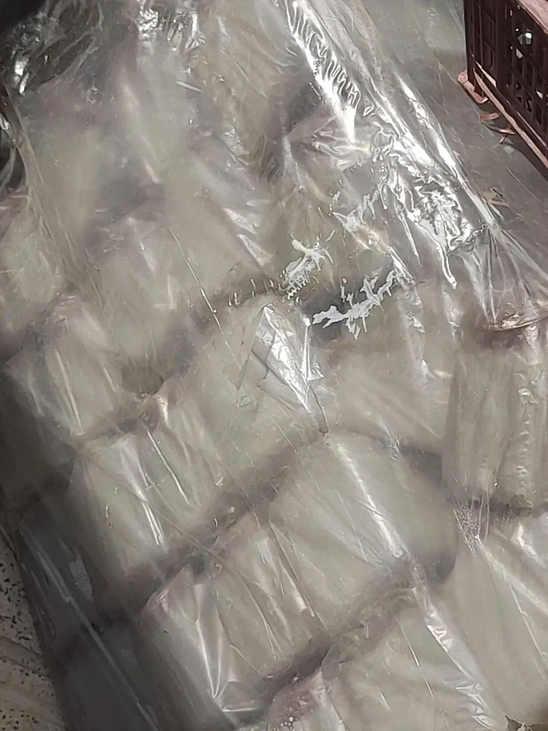 لوازم مصرفی و تجهیزات پزشکی فشارسنج و ...|پزشکی|ارومیه, |دیوار