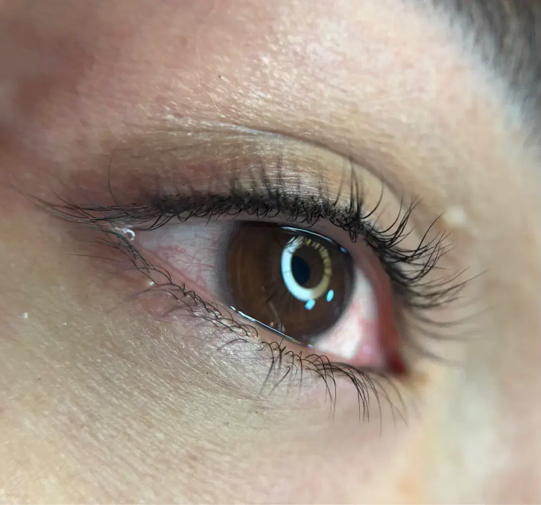 مدل شیدینگ لب و بن مژه|خدمات آرایشگری و زیبایی|خورموج, |دیوار