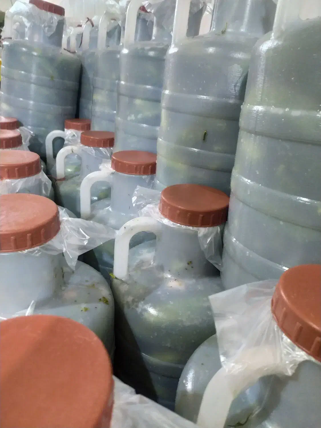 خیارشور آوین|خوردنی و آشامیدنی|سردرود, |دیوار