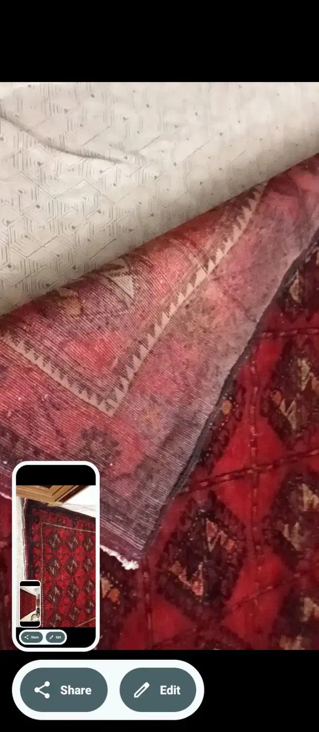 فرش دستباف|فرش|مشهد, حسابی جنوبی (شهرک غرب)|دیوار