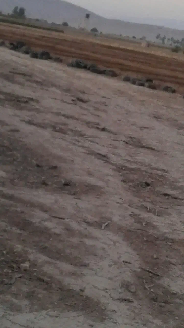 فروش زمین در شیبکوه فسا|فروش زمین و ملک کلنگی|شیبکوه (فارس), |دیوار