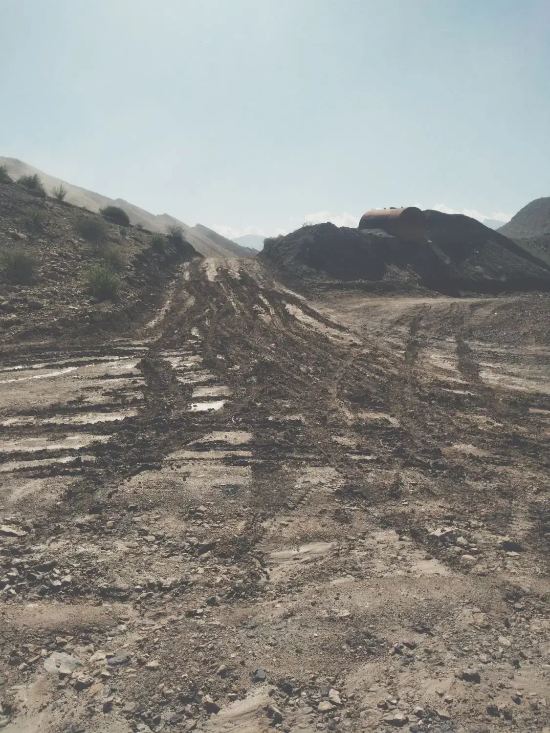 پروژه.تحقیقاتی|فعالیت داوطلبانه تحقیقاتی|بندرعباس, |دیوار