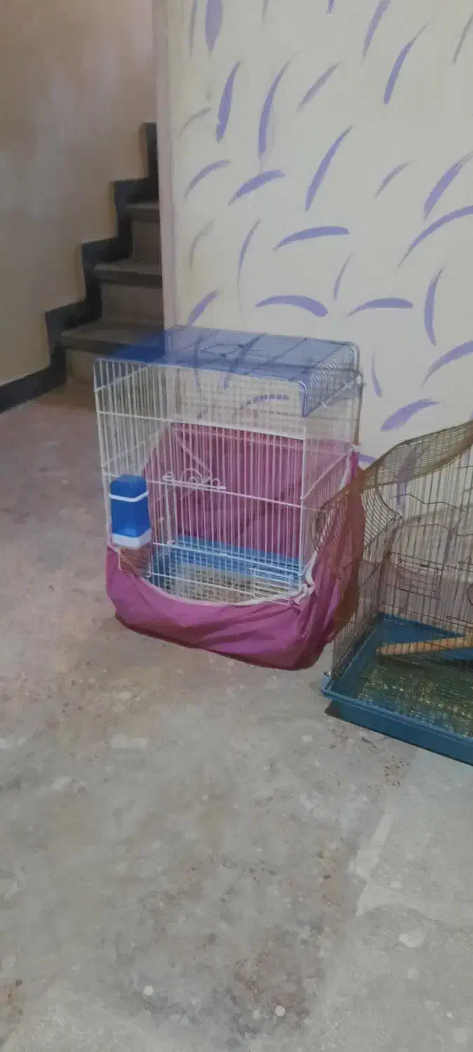 دو عدد قفس پرنده نیروی دریایی نارمک|لوازم جانبی حیوانات|تهران, نیروی دریایی|دیوار