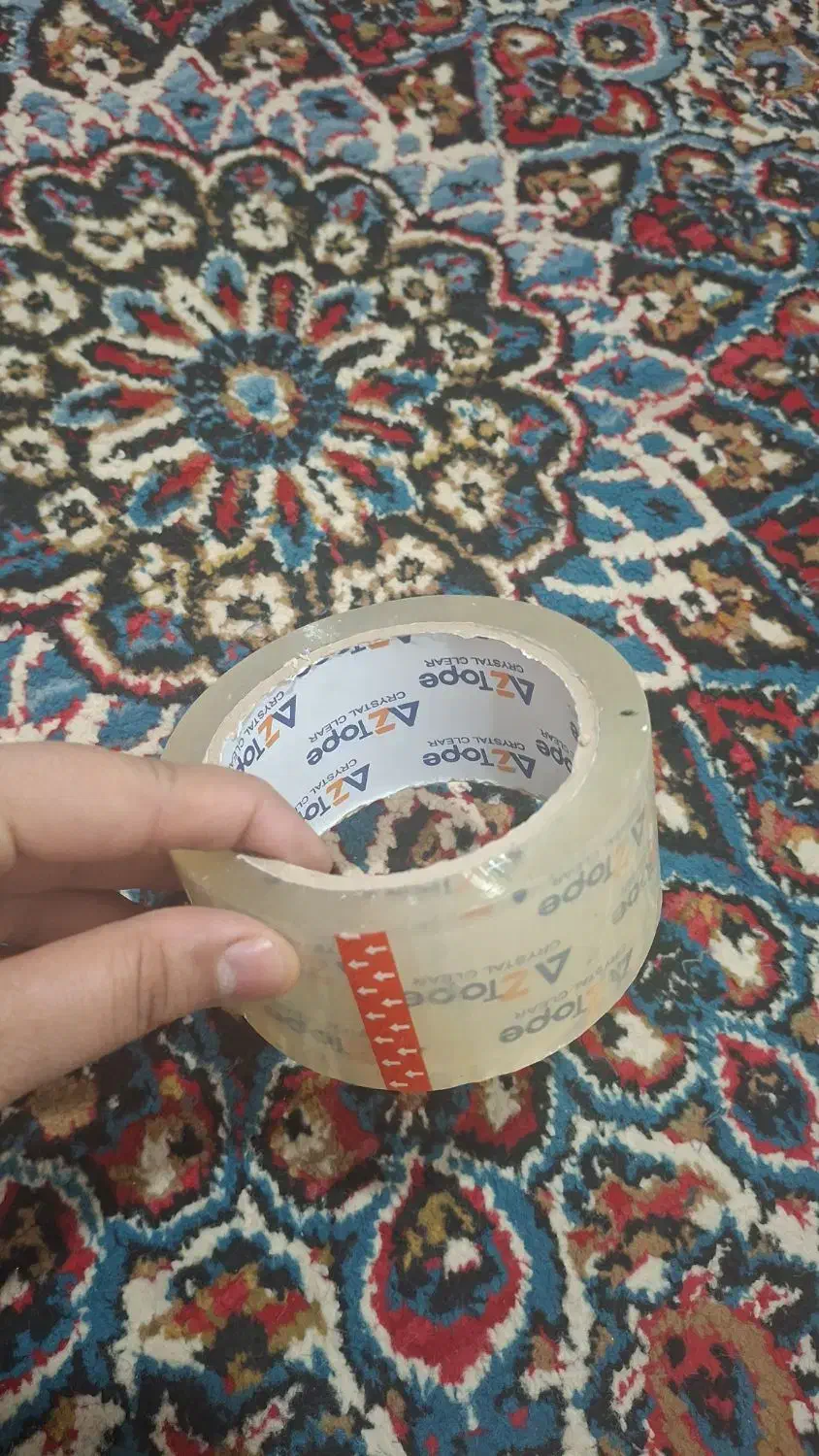 گربه عکس های بعدی|گربه|کوهدشت, |دیوار