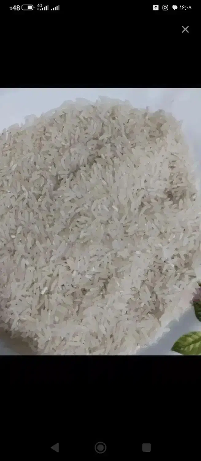 برنج فجرسوزنی خوش وعطروطعم تضمینی ۹۰روزه|خوردنی و آشامیدنی|مزرعه کتول, |دیوار