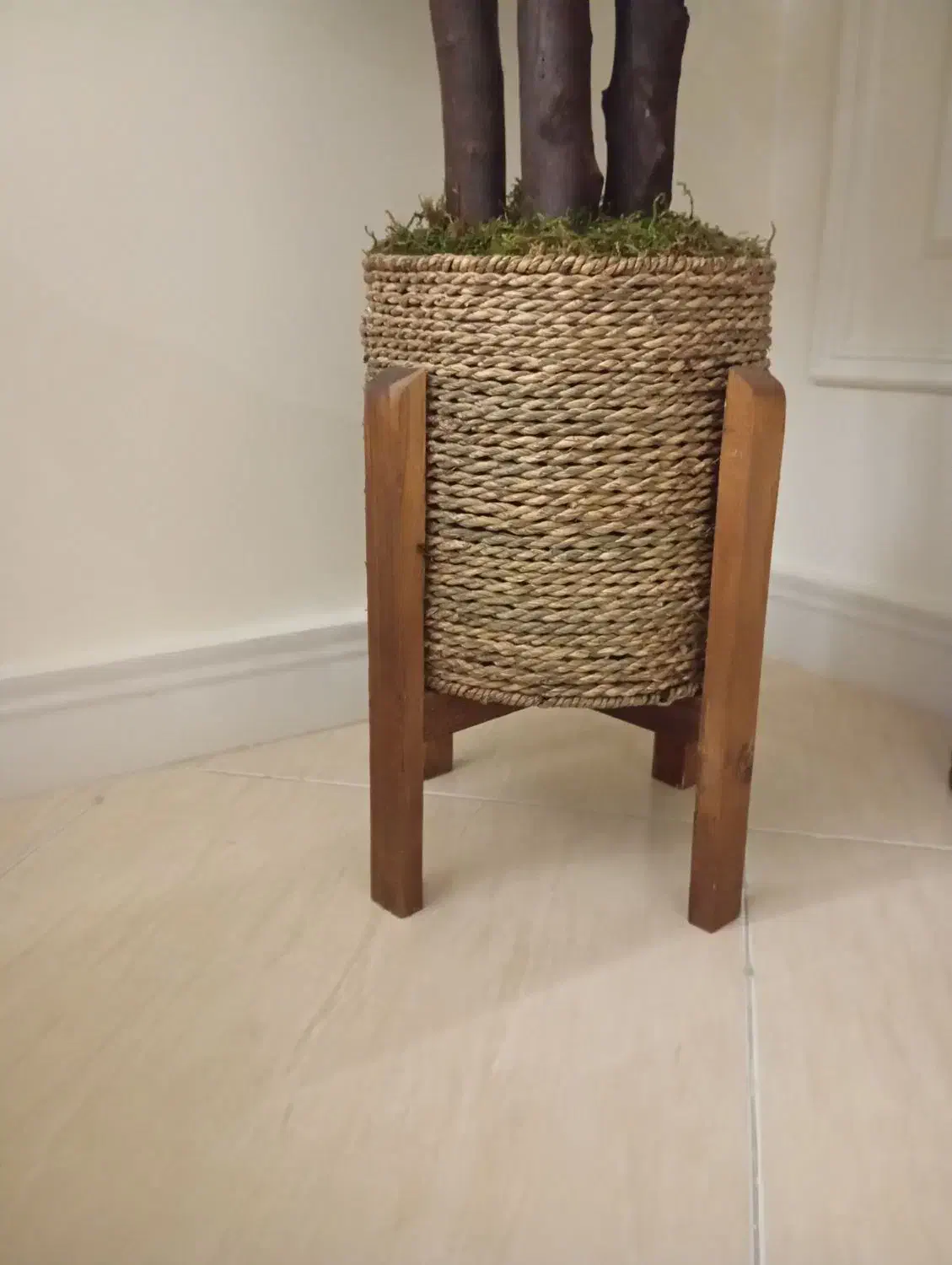 گلدان حصیری|گل و گیاه طبیعی|تهران, ابوذر|دیوار