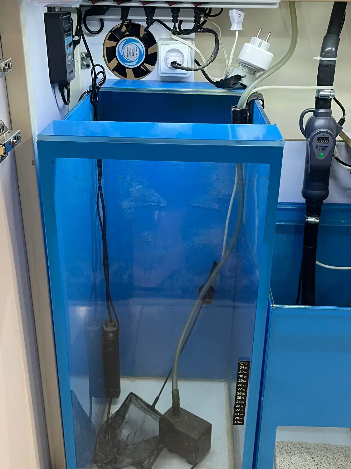 اکواریوم|ماهی|تهران, پاسداران|دیوار