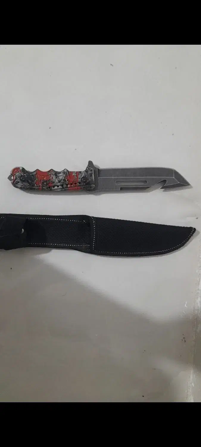 کبوتر معاوضه|کلکسیون و سرگرمی|گنبد کاووس, |دیوار