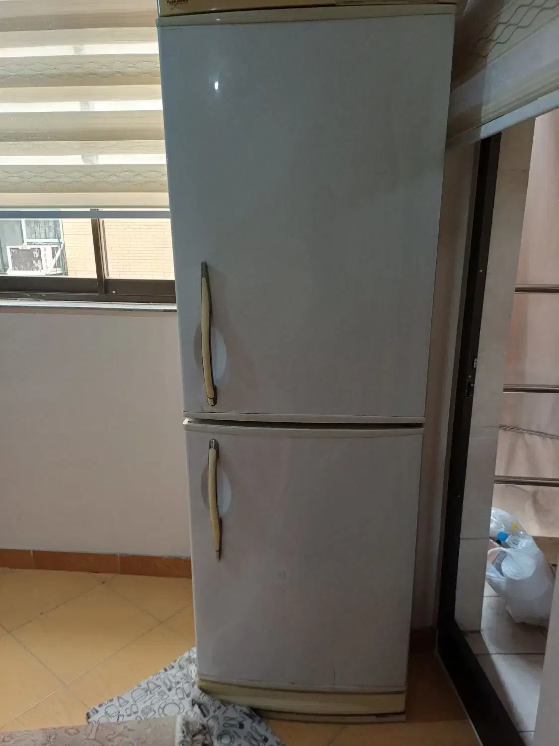 یخچال فریزر|یخچال و فریزر|رشت, پیرکلاچای|دیوار