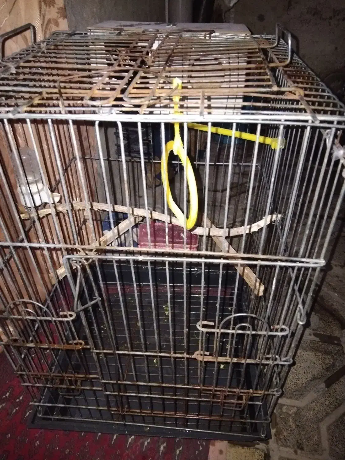 قفس|لوازم جانبی حیوانات|مشهد, نوده|دیوار