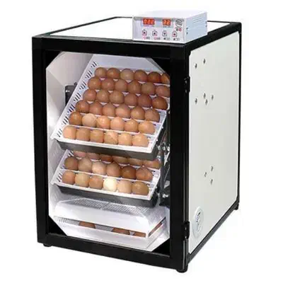 دستگاه جوجه کشی تمام اتوماتیک|لوازم جانبی حیوانات|شیراز, سرو|دیوار