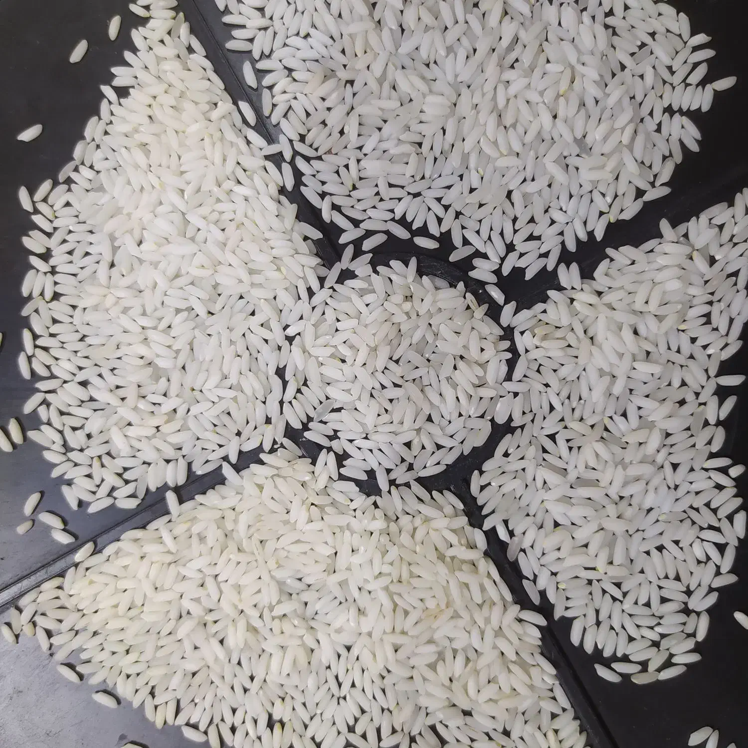 برنج عنبربو درجه یک|عمده‌فروشی|شوشتر, |دیوار