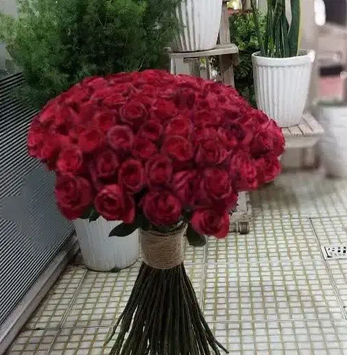 صد شاخه گل طبیعی فقط۱/۵۰۰تومن|گل و گیاه طبیعی|کرمان, |دیوار